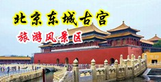女生阴道无遮挡中国北京-东城古宫旅游风景区